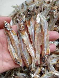 Viet Delta Dried Anchovies Whole Body 5-8cm High <b>Protein</b> Nutritious Bulk Packaging Grade a - Product Image 2