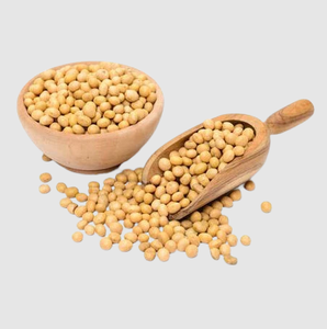 Sac de 50 kg de graines de soja jaunes sèches de qualité alimentaire et pour germination, soja non OGM - Product Image 5