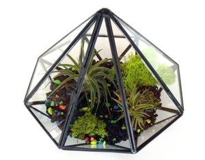 Home Perfect Geometric Glass Terrarium with Black / Gold Metal <b>Frame</b> for Air Succulent <b>Plant</b> - Product Image 4