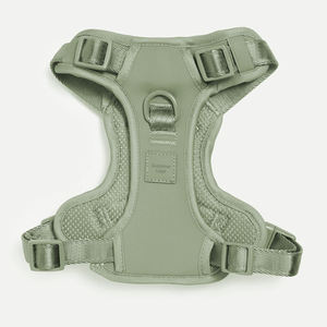 Ensemble Harnais et Laisse pour Chien, Harnais Réglable Anti-Traction et Anti-Étranglement pour Chiots, Idéal pour la Promenade des Animaux de Compagnie de Petite, Moyenne et Grande Taille - Product Image 2