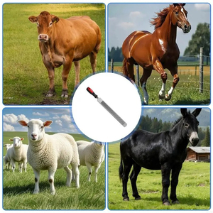 Herramienta profesional de acero al carbono para recortar pezuñas de caballos y proyectos de carpintería - Product Image 6
