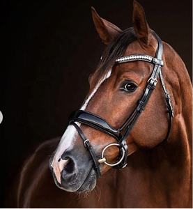 Bridas acolchadas de charol de caballo de cuero genuino con forro suave Riendas con cordones de cuero Estilo de sillín inglés por fabricante - Product Image 1