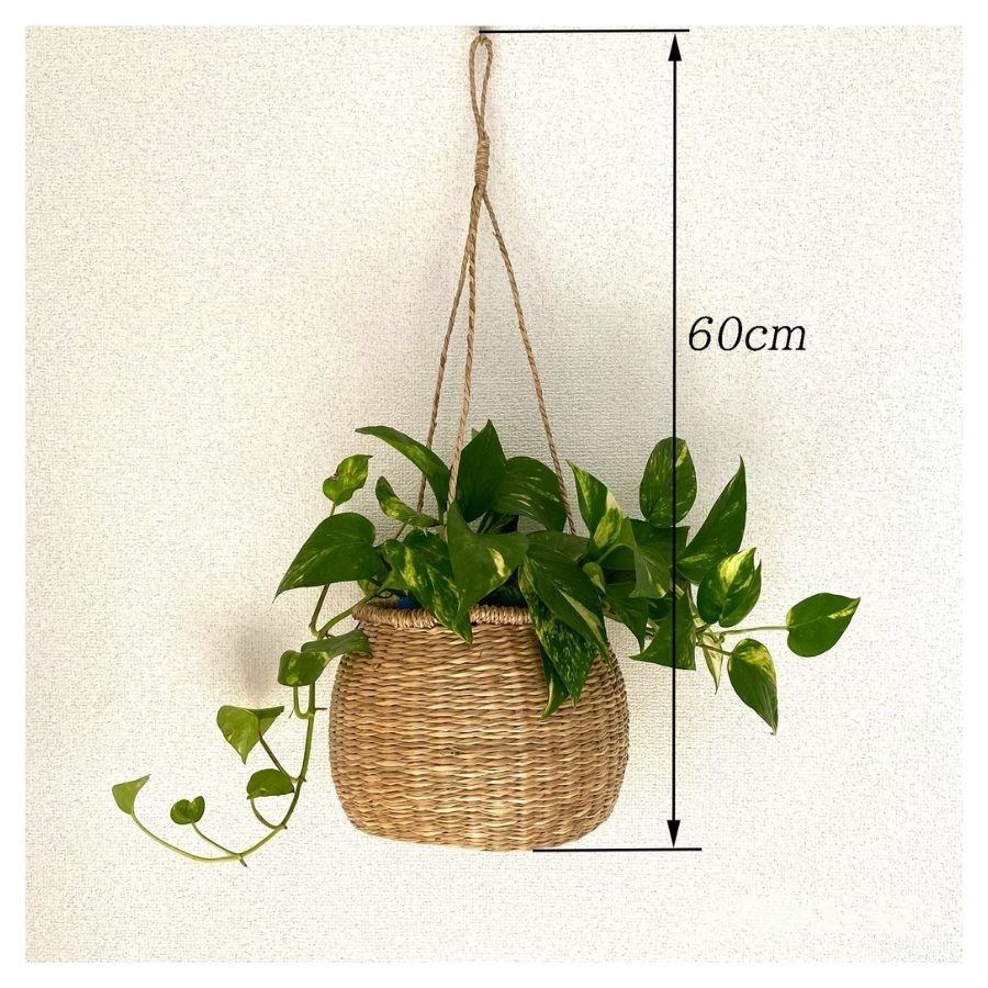 กำหนดเองตามคำขอ