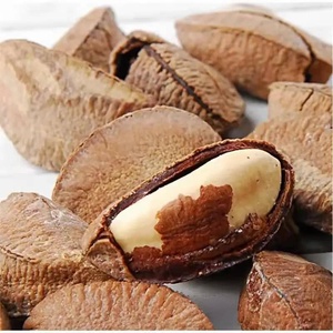 Noix du Brésil Bio Séchées en Vrac Emballage Naturel Snack à Base de Noix Qualité Alimentaire Marque TZ879DTH Longue Durée de Conservation - Product Image 5