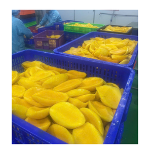 Fournisseur de mangues congelées du Vietnam pour les importateurs internationaux et les distributeurs en gros - Product Image 2