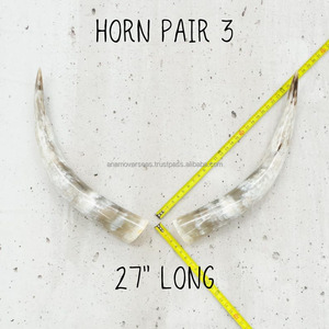 Esculturas de cuerno de vaca largas minimalistas para acentos interiores modernos - Product Image 2