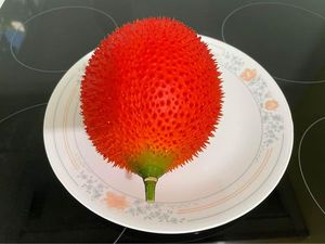 เนื้อผลไม้แช่แข็ง GAC ได้รับการรับรองมาตรฐาน BRC HACCP ขายส่งจากเวียดนาม - Product Image 3