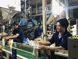 ข้าวขาวเมล็ดยาว (10%) ราคาแข่งขันจากเวียดนามวา + 84 986778999 - Product Image 5