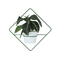Pot de fleurs en céramique avec cadre en fer géométrique moderne, plante succulente, feuille de Monstera artificielle, figurine décorative de table pour la maison