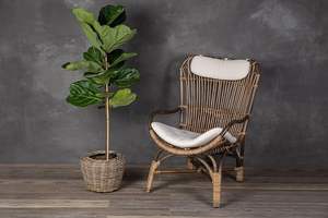 Cesta de Mimbre para Plantas, Maceta Natural Tejida a Mano para Uso en Interiores y Exteriores, Hecha por KingcraftViet - Product Image 3