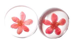 Viola Herb Flower - Espécimen de Planta Real en Cabujón de Plástico Redondo de 35x35 mm con Base Plana Transparente para Manualidades y Joyería - Product Image 4