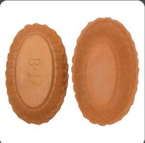 Tazón Desechable de Terracota para Fiestas Hecho en India - Product Image 2