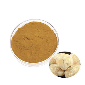 Carefully Processed Lion's Mane Extract 50% Food Grade Fine <b>Mesh</b> Premium Quality Mushroom Extract Bulk Supply from India - Product Image 3