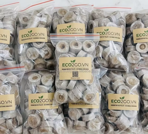 Eco2go Vietnam Coir Pellet/Coir Jiffy, substrat de culture léger et biodégradable, riche en nutriments, haute rétention d'eau pour les semences - Product Image 5