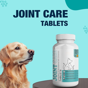 OEM ODM – Nouvelles Friandises Tendres pour Chiens et Chats, Soutien Articulaire avec Glucosamine pour la Santé des Hanches et des Articulations, Amélioration de la Mobilité et Soulagement de la Raideur - Product Image 5
