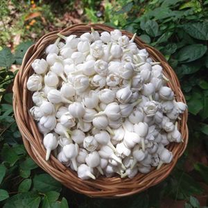 Flor de jazmín de arcilla hecha a mano con efecto de semi-floración |   Flor de Jazmín Realista Tailandesa |   Guirnalda de jazmín artificial de arcilla decorativa - Product Image 1