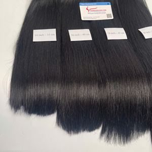 Cabello Humano Premium con Trama Recta a Máquina, Textura Ultra Suave, Doble Trama, Puntas Gruesas y Llenas, Alta Calidad - Product Image 1