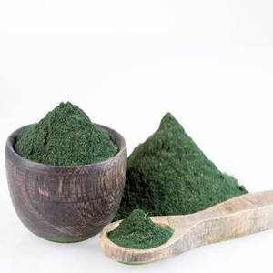 Nueva Temporada de Polvo de Espirulina India para Compradores Globales que Buscan Ingredientes Superalimentos a Base de Plantas en Grandes Cantidades - Product Image 2