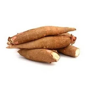 Yuca Fresca Orgánica Premium, Certificada ISO, Tamaño 30cm, Peso 25kg, Maduración 100, 2 Meses de Vida Útil, Proteína y Almidón - Product Image 2