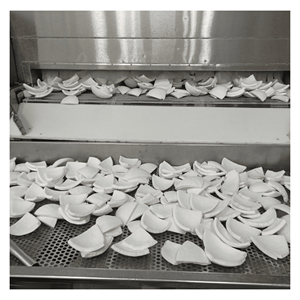 Carne de Coco Congelada IQF de Alta Calidad, en Rodajas y Cubos, Dulce, Suave y Tierna, de Vietnam - Product Image 6