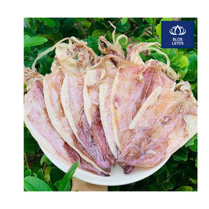 Calamar Seco de Alta Calidad, Ecológico, Estándar Europeo, Personalizable, Envasado al Vacío, 20 kg, Producto Popular, Imprescindible para Sopas y Aperitivos de Mariscos - Product Image 6