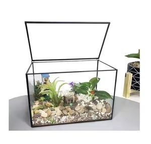 Modern Frame Glass Metal Terrarium Planter Decorative Indoor Plant <b>Display</b> <b>Case</b> Home Accent - Product Image 5