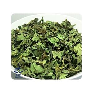 Feuilles de papaye séchées de haute qualité, source propre, séchées avec soin, adaptées pour le thé et la préparation de poudre, rehaussent la saveur - Product Image 1