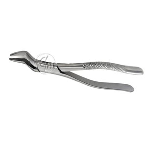 Pinzas de Extracción de Acero Inoxidable Duradero, Herramienta de Cirugía Dental, Agarre Preciso, Instrumento de Cuidado Bucal - Product Image 5