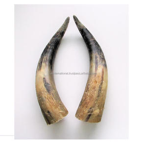 Regalo de Boda Único, Cuerno de Pera Vikingo, Decoración Natural para el Hogar y Hoteles, Par de Cuernos de la Mejor Calidad, Pulidos - Product Image 3