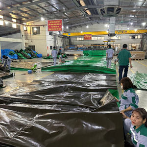 Bâche en PE verte grande capacité, haute durabilité, protection robuste, couleurs et dimensions personnalisées pour l'agriculture - Product Image 3