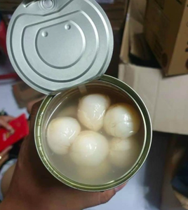 Lychees en conserve dans le sirop, lychees pelées de qualité supérieure |   Longue durée de conservation |   Origine Vietnam - Pack de 1 kg |   Marque Viet Delta |   M. Tom - Product Image 4