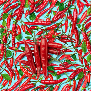 Supplément d'herbe fluide super critique d'extrait de plante de piment biologique de haute qualité - Product Image 1