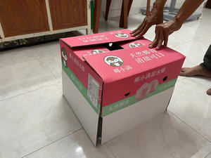 Boîte en carton ondulé personnalisée pour l'emballage et l'exportation de noix de coco fraîches, provenant d'un fabricant agricole vietnamien - Product Image 4