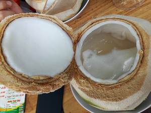 Gelatina de Coco Premium de Vietnam – Fresca, Dulce y Masticable, Delicioso Ingrediente para Postres // Mr.Tom - Product Image 5