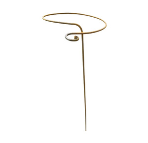 Amaryllis stake for <b>flowers</b> potted plant <b>support</b> - Product Image 5