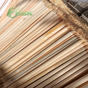 Balai et pelle 2-en-1 ergonomiques et portables en PVC avec manche en bois naturel du Vietnam, en eucalyptus, écologiques pour la maison - Product Image 2