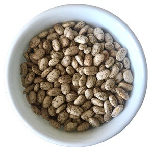 Frijoles Pintos en Grandes Cantidades Disponibles para Suministro a Granel, Frijoles Pintos de Alta Nutrición Empacados para Entrega Inmediata - Product Image 1