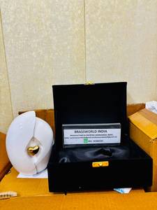 Urnas de Cremación Personalizables, Duraderas y Ecológicas, Estilo Americano para Adultos, Brassworld India, Caja de Terciopelo Verde, 200/220 Cúbicos, Venta al Por Mayor - Product Image 3
