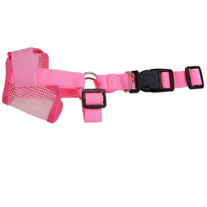 Purple Nylon Adjustable <b>Dog</b> Trainer Collar Small Size Buckle Closure Simple Style All Seasons Pet Accessory - Product Image 4