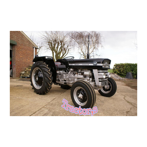 Se venden tractores Massey Ferguson 135 usados para agricultura y también implementos y equipos para tractores. - Product Image 5