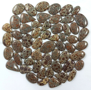 Fournisseur de pierres précieuses en vrac de jaspe astéroïde naturel, cabochons, pierres à facettes, cristal, export en gros, Inde - Product Image 3