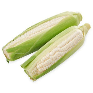 Producto Agrícola, Granos a Granel, Maíz Blanco Seco, Granos de Maíz Secos, Maíz Blanco Seco con Precio Competitivo - Product Image 6