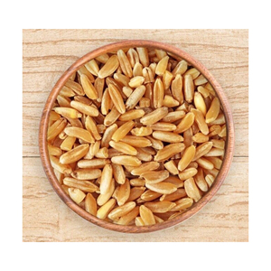 Grains de blé fournis pour le commerce en grande quantité avec des prix commerciaux compétitifs - Product Image 1