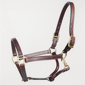 High Quality Argentinian Multi-Color Leather Horse Polo <b>Halter</b> Durable Equestrian Racing horse equipment horse leather <b>halter</b> - Product Image 1