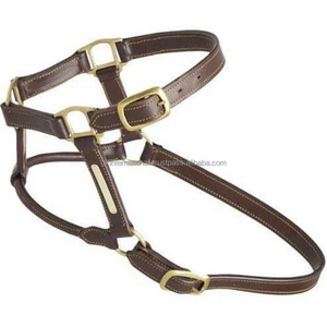 Cabestro de caballo de cuero genuino marrón de calidad superior con banda de nariz acolchada suave y cabestros para el cuello Halter de cuero anatómico caballo - Product Image 5