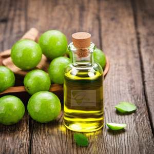 โรงงานผู้ผลิตน้ำมันอัมลาบริสุทธิ์และน้ำมันอัมลาเกรดพรีเมียมสำหรับเครื่องสำอางจากอินเดีย ขายส่ง - Product Image 3