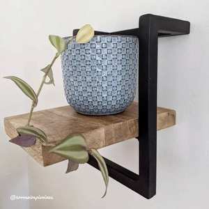 Étagère murale en bois de manguier Vandana Optima Stellar Small - Product Image 2