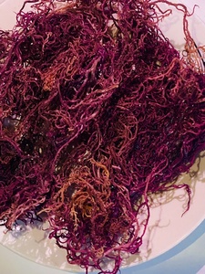 Mousse marine séchée brute de qualité supérieure, cueillie en pleine nature |   Eucheuma Cottonii |   Fournisseur en gros du Vietnam : Algues violettes / Mousse d'algues irlandaise séchée - Product Image 3
