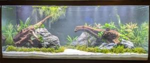 Bois creux naturel pour aquarium, bois flottant en gros, décoration pour terrarium et aquarium - Product Image 3