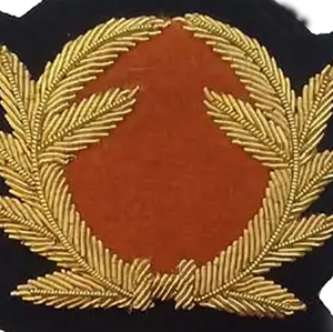 Últimos diseños exclusivos de insignias bordadas con alambre de oro, hechas a mano, ecológicas, sin níquel, de lujo, al por mayor. - Product Image 5